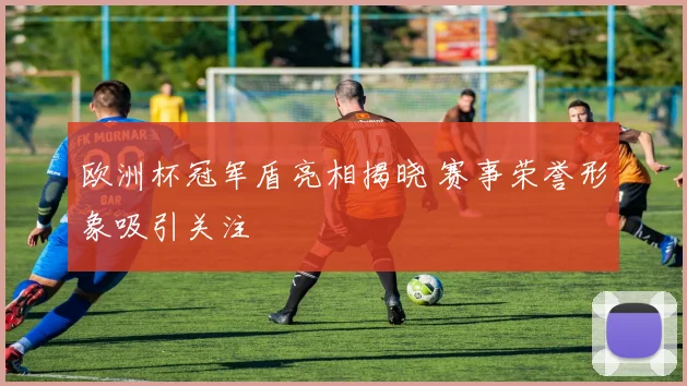 欧洲杯冠军盾亮相揭晓 赛事荣誉形象吸引关注