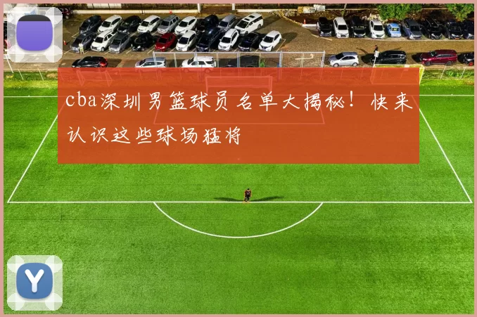 cba深圳男篮球员名单大揭秘！快来认识这些球场猛将
