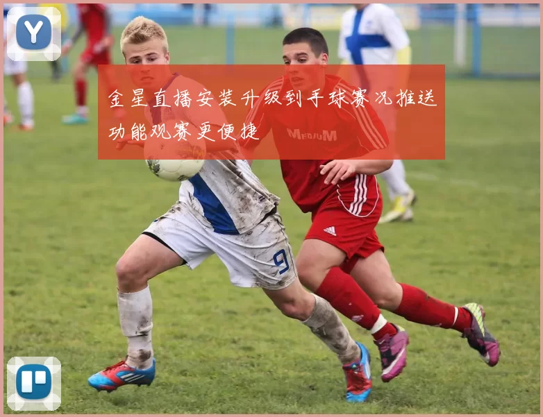 金星直播安装升级到手球赛况推送功能观赛更便捷