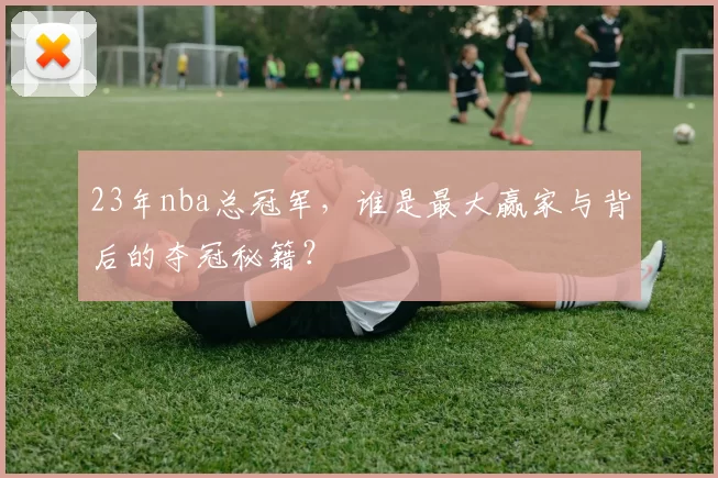 23年nba总冠军，谁是最大赢家与背后的夺冠秘籍？